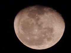 今夜の月