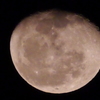 今夜の月