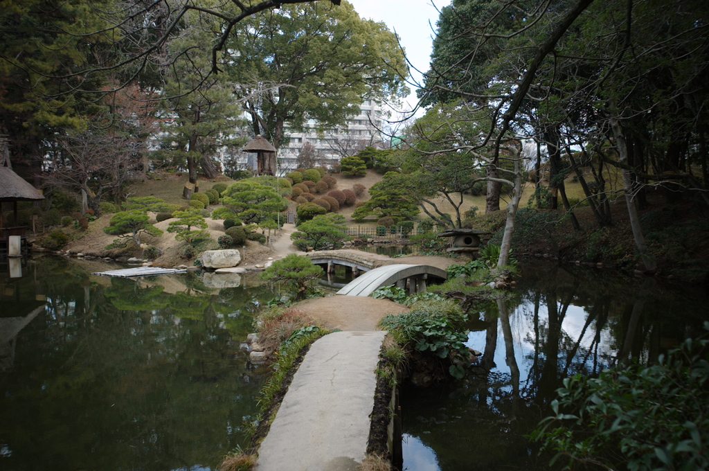 縮景園・橋渡る