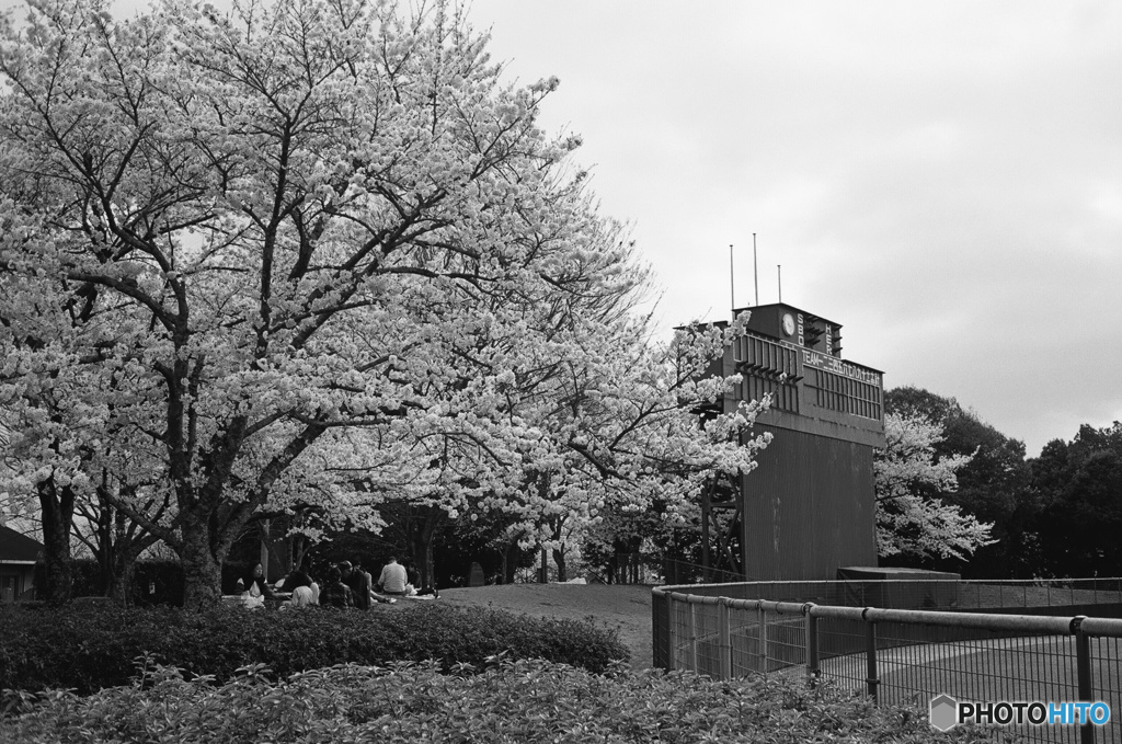 東広島・西条