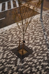 Mosaic