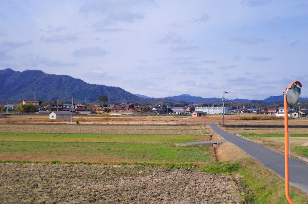田舎色