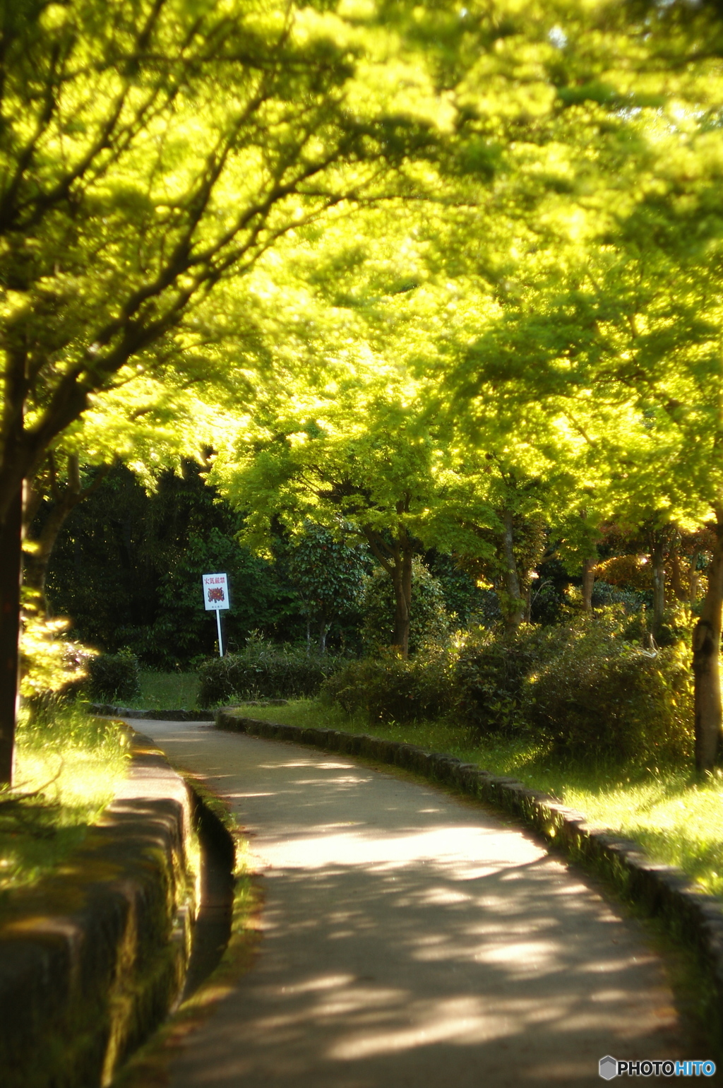 Emerald Green