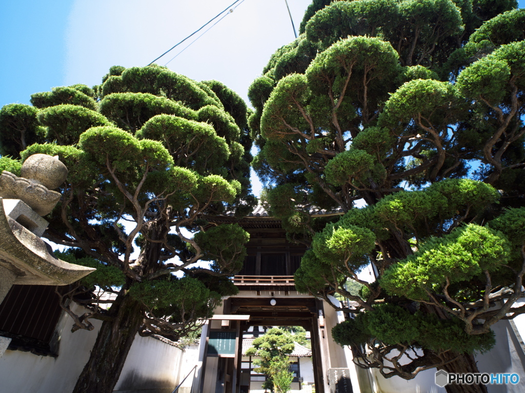 尾道・天寧寺