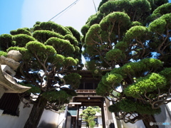 尾道・天寧寺