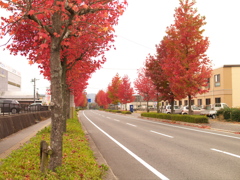 赤に染まる街道