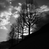silhouette