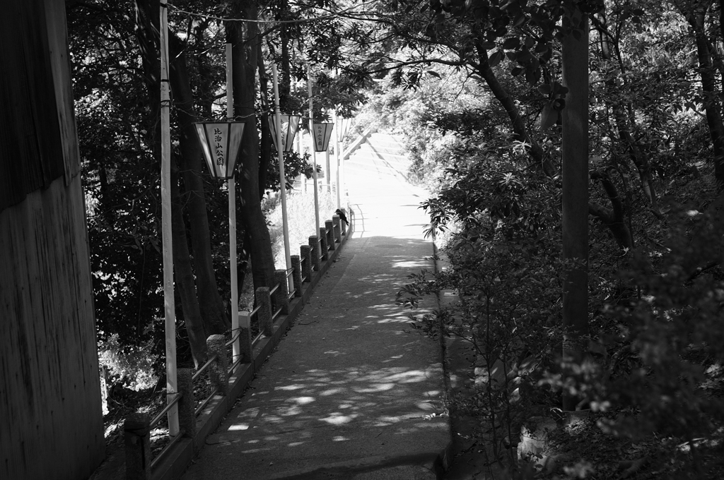 比治山公園散策スナップ