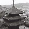 五月雨・尾道