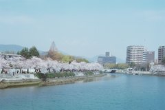 元安川の春