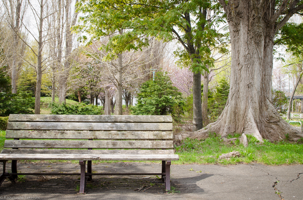 伏古公園