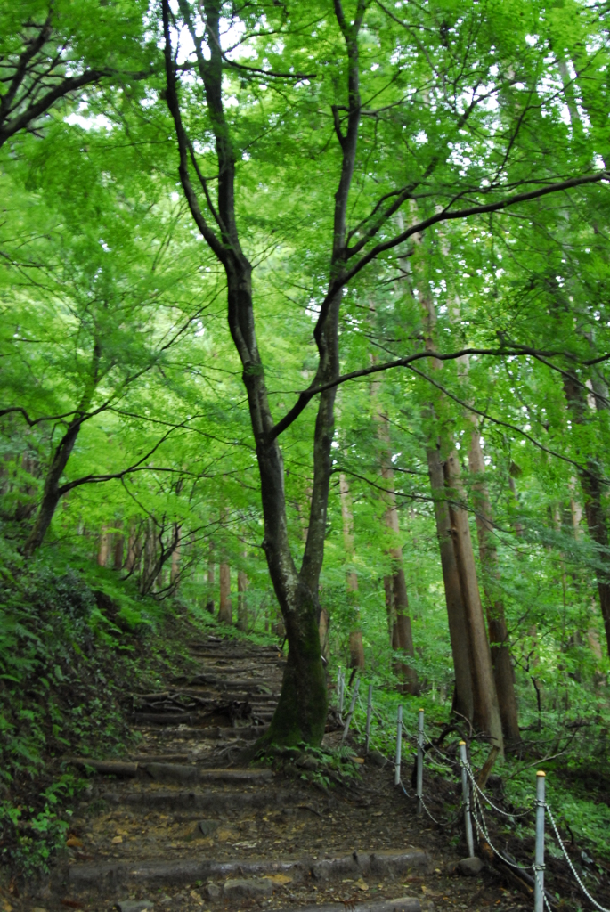 登参道