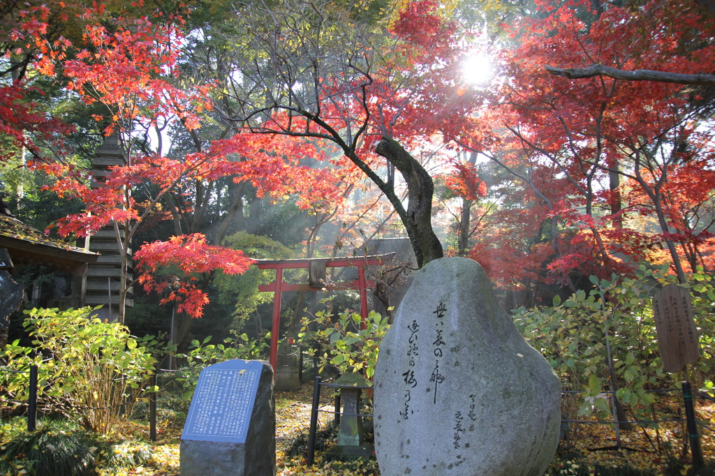 本土寺