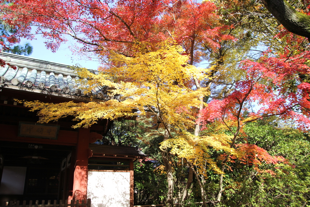 本土寺