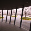 さくら広場（幕張）