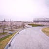 さくら広場（幕張）