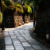 朝の石塀小路
