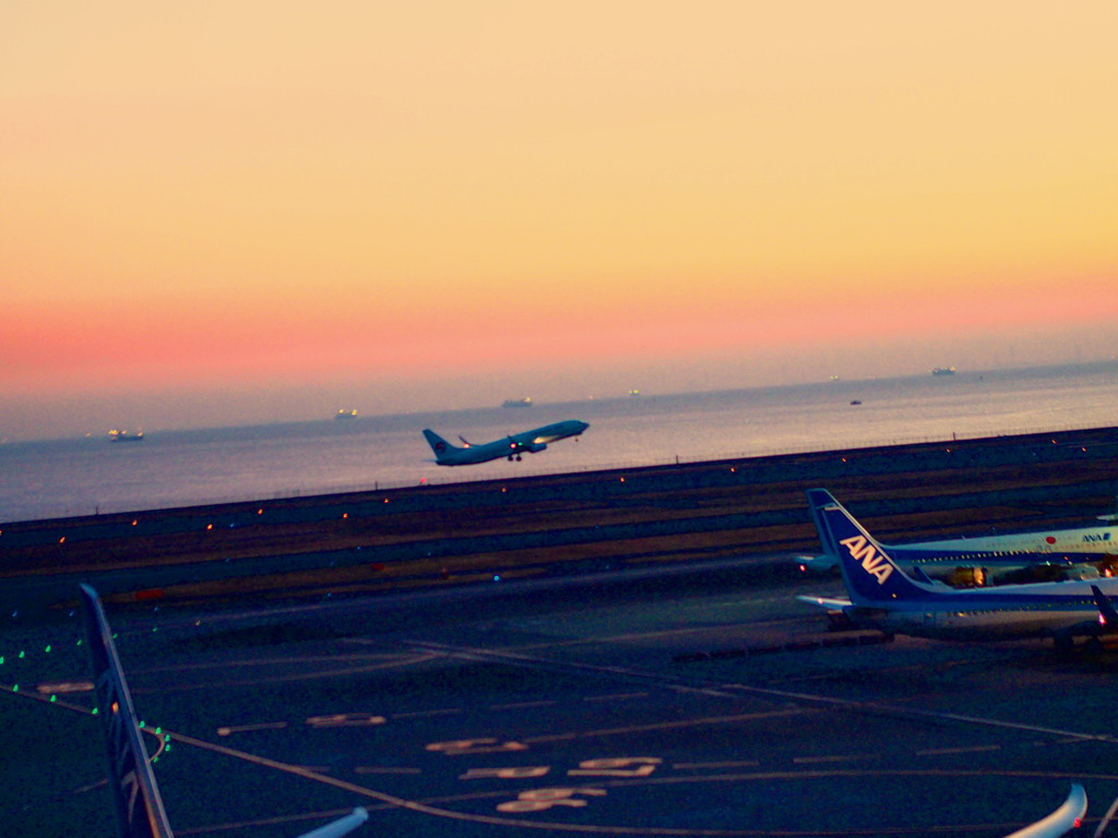 日の出と飛行機