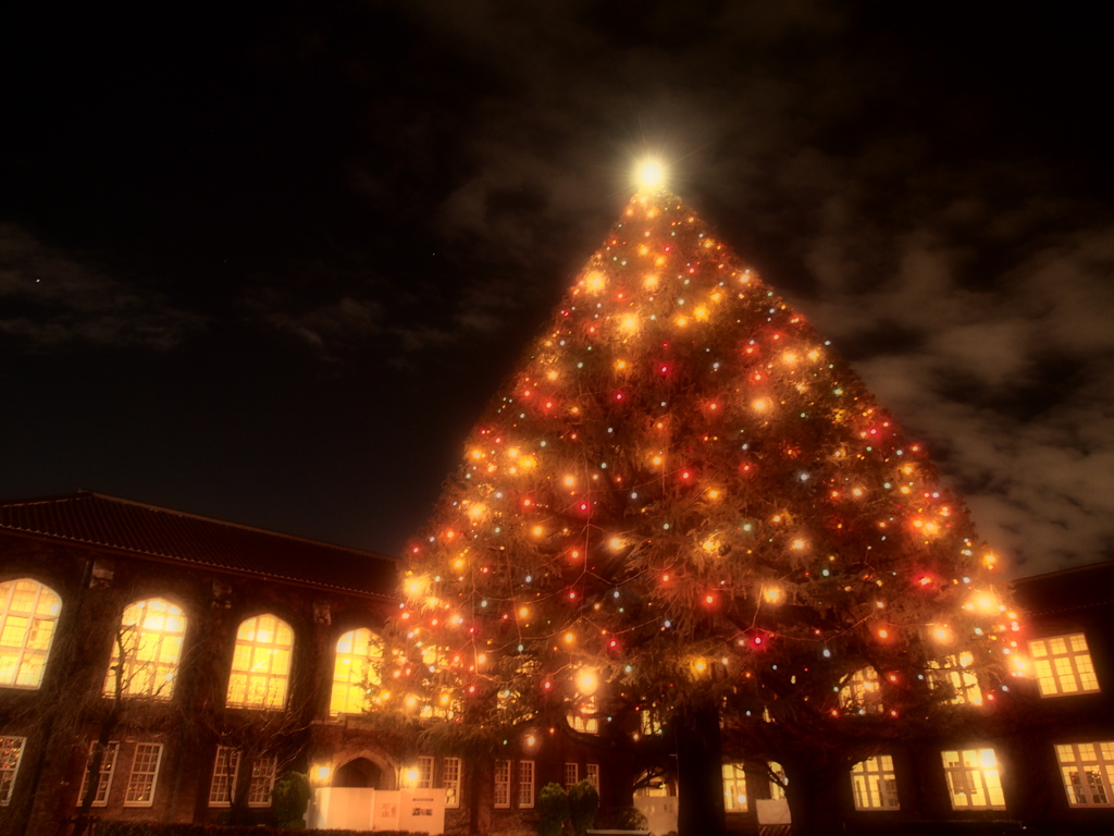 クリスマスツリー