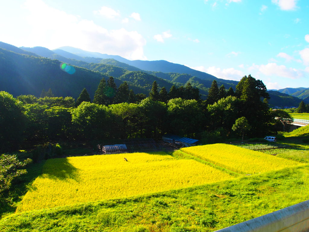 日本の原風景