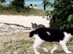 ちょっと通りマース