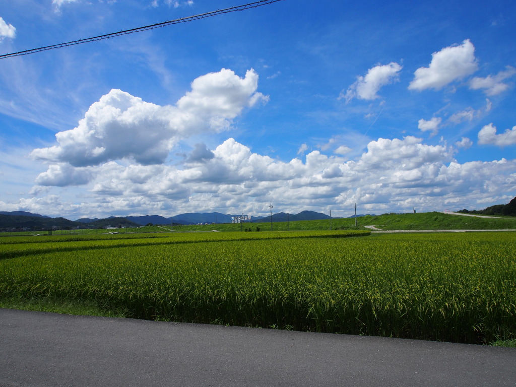 夏の旅のひとコマ（京都）