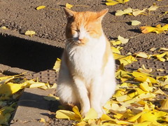 ようこそお出でくださいました