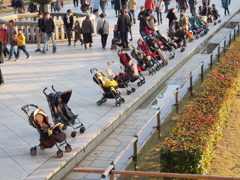 参道はベビーカー置き場