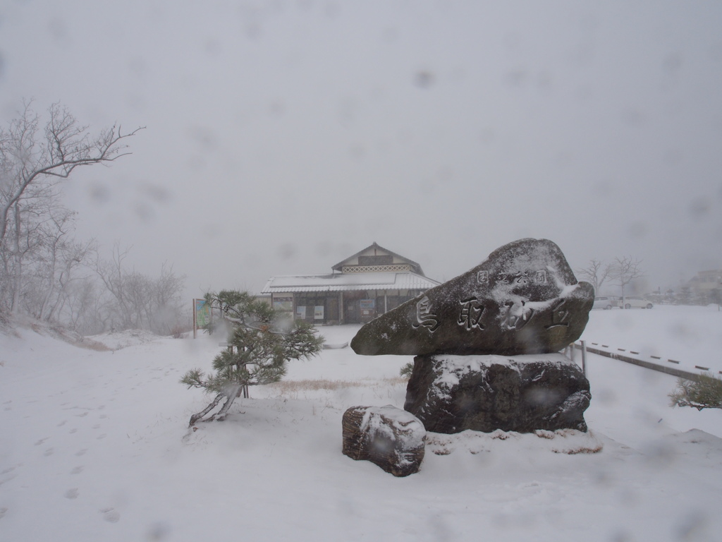 吹雪の鳥取砂丘