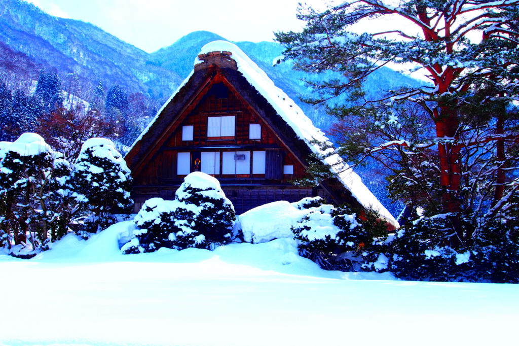和田家