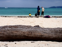 入りたいけど入れない