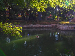 スポットライト