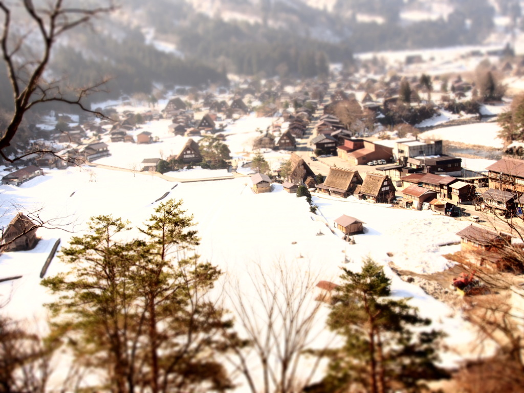 朝の白川郷