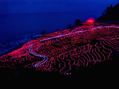 白米千枚田ライトアップ