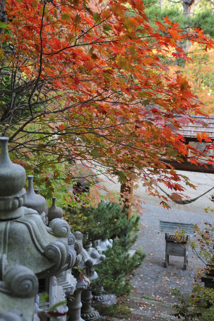 神社