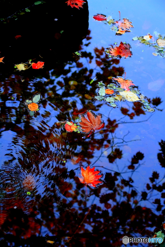 水面（みなも）