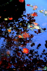 水面（みなも）