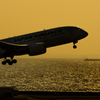 Take Off_5