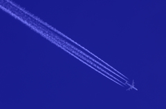4 Lines