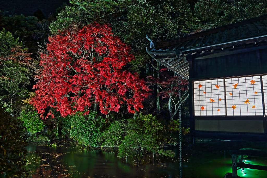 龍野公園 聚遠亭2020 ①