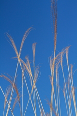 春空
