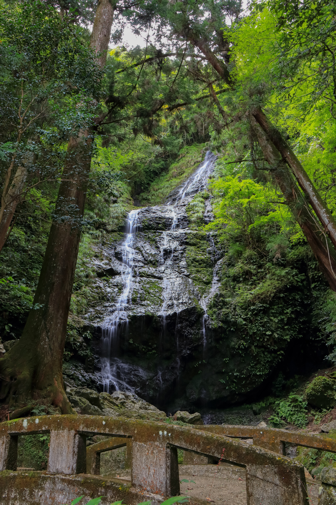 飛龍の滝 大滝 全景