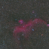 星空を舞う赤いカモメ