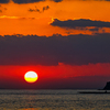 師走の夕陽