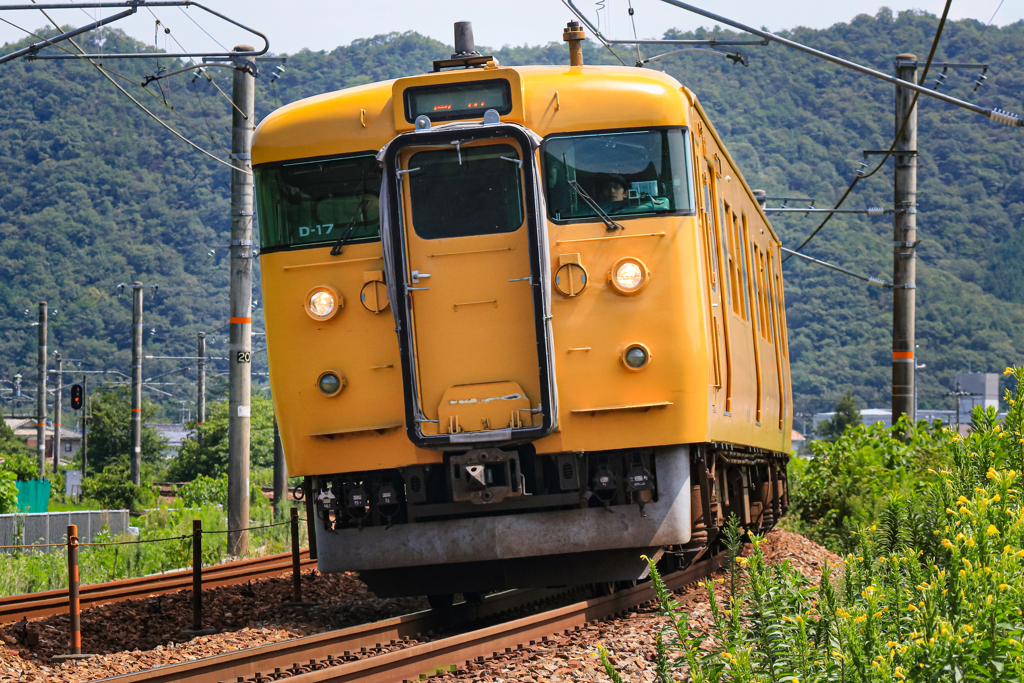 よく見かける黄色い電車