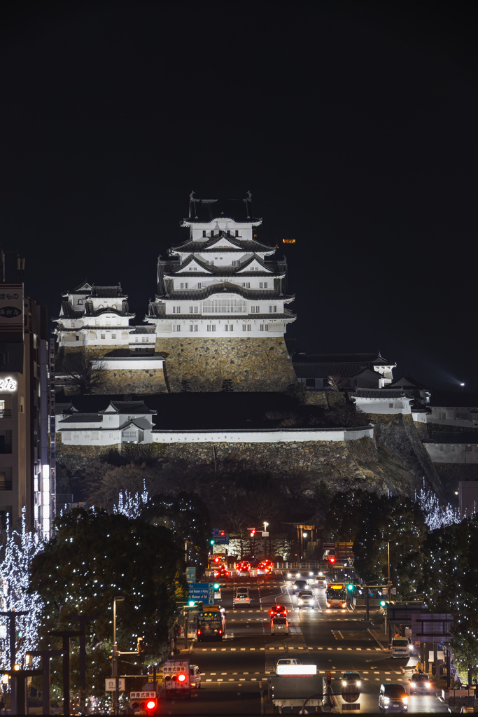 新幹線ホームから望む夜の白鷺城
