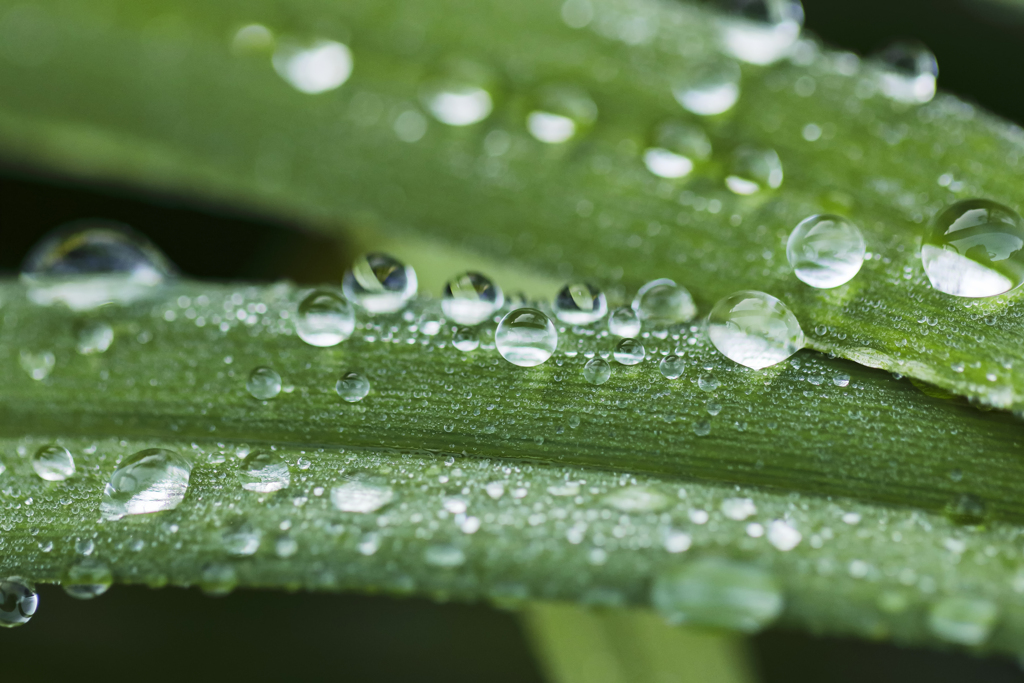 雨上がりの朝