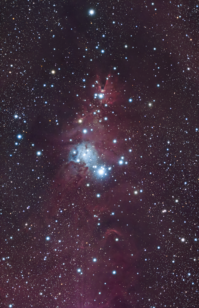 Merry Christmas 2025