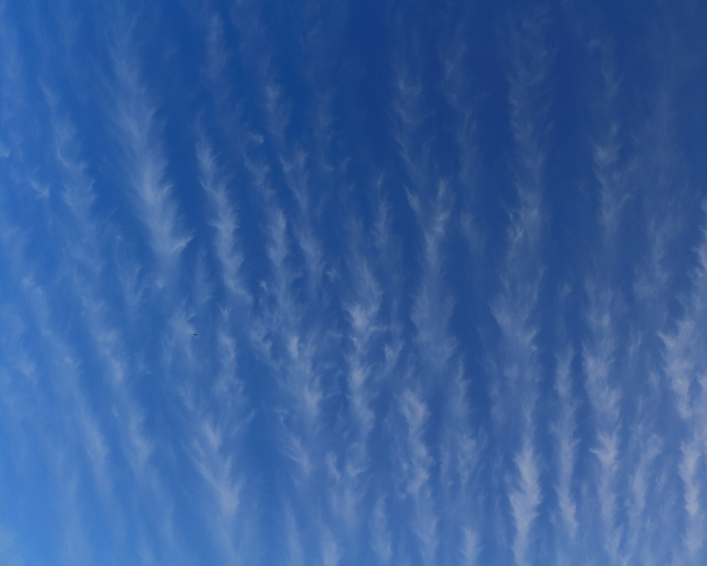 すじ雲