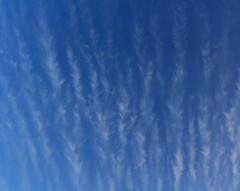 すじ雲